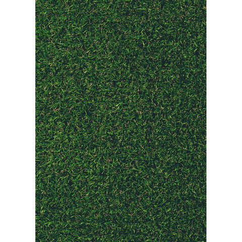 14.24 Trávový koberec Rasen