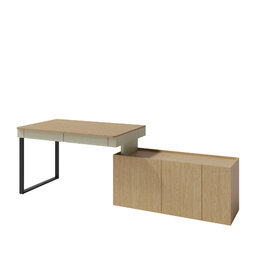 eukaliptus/dub baltik