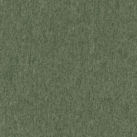 Koberec 60376