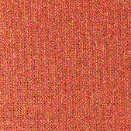 Koberec 64038
