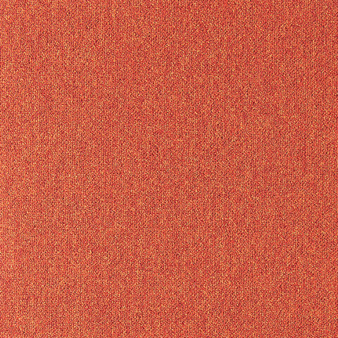 Koberec 64038