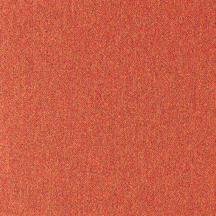 Koberec 64038