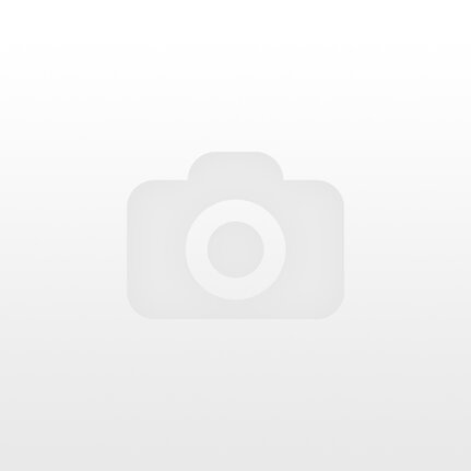 Kompozitná podlaha Stylish Oak Natural