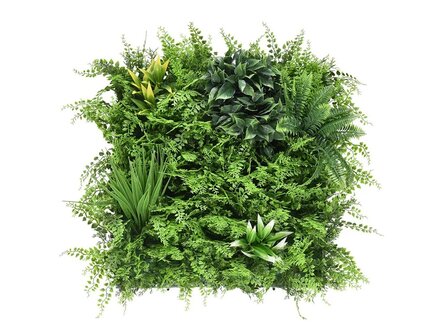 Kvetinový panel Dense fern