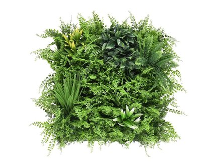 Kvetinový panel Dense fern