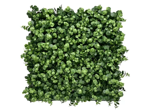 Kvetinový panel Eukalyptus
