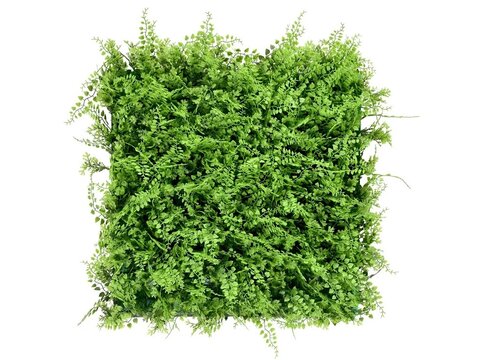 Kvetinový panel Fern