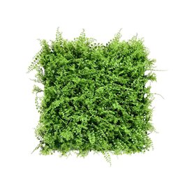 Kvetinový panel Fern