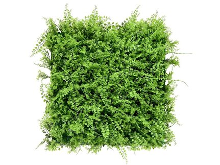 Kvetinový panel Fern