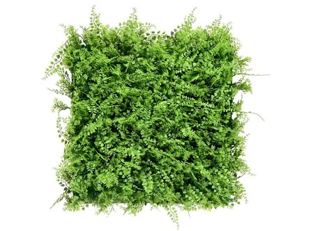 Kvetinový panel Fern