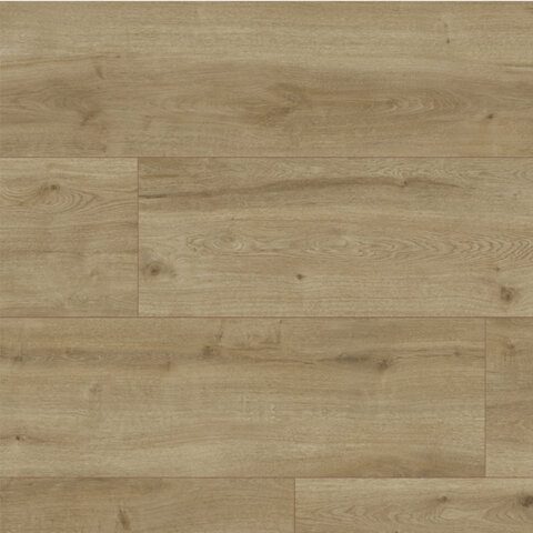 Laminátová podlaha Dub prírodný Rustic