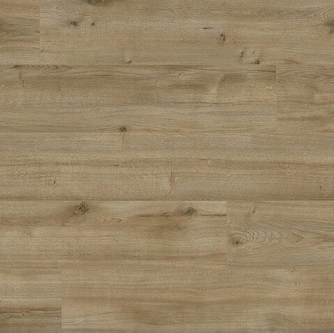 Laminátová podlaha Dub zlatý Rustic