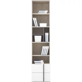 Regál RM05 dub wilton biely/biela/antracit 45x40x195