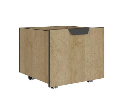 Regál s kontajnerom NN03 L/P grafit/dub riviera 45x40x195