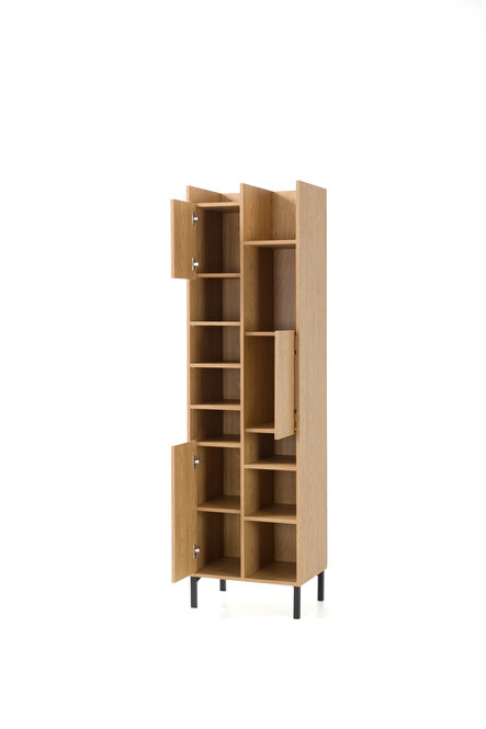 Regál SE04 eukalyptus/dub baltský/čierny onyx 55x40x195