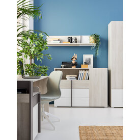 Skriňa RM04 dub wilton biely/biela/antracit 45x40x195