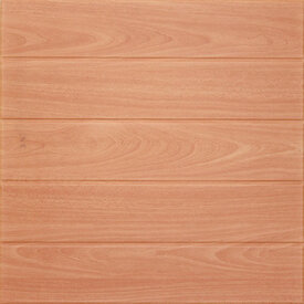 Stropná kazeta T13 Buk