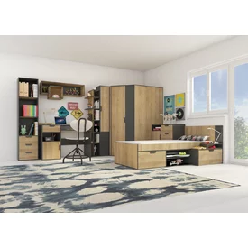 TV stolík s kontajnerom NN10 grafit/dub riviera 120x50x45
