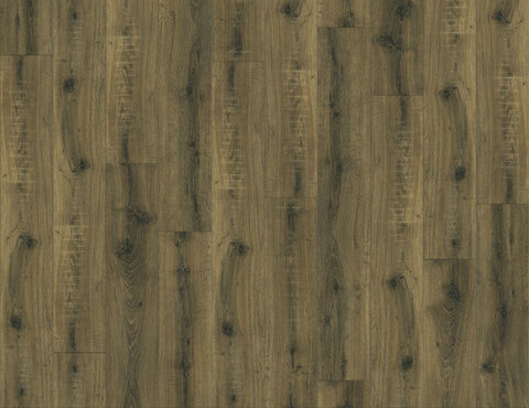 Vinylová podlaha Brio Oak 22877