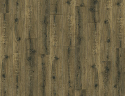 Vinylová podlaha Brio Oak 22877