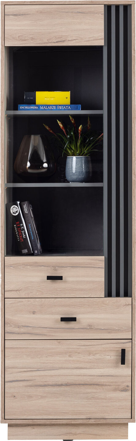 Vitrína AL03 dub estana/antracit 60x40x195