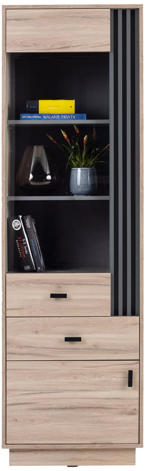 Vitrína AL03 dub estana/antracit 60x40x195