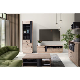 Vitrína AL03 dub estana/antracit 60x40x195