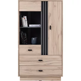 Vitrína AL04 dub estana/antracit 80x40x145