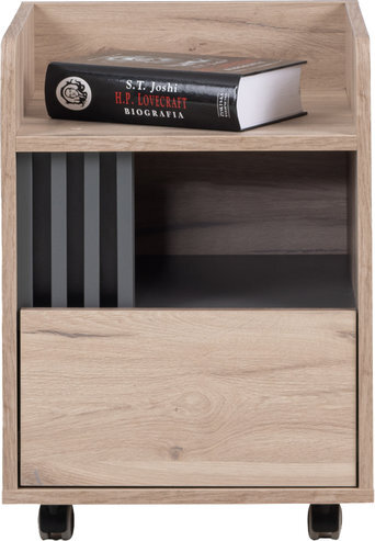 Zásuvkový kontajner AL10 dub estana/antracit 40x40x53