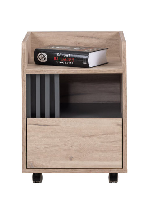 Zásuvkový kontajner AL10 dub estana/antracit 40x40x53